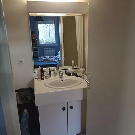 Apartment Mesange Dijon